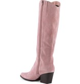 Seychelles Begging You Blush Tall Boot