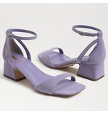 Sam Edelman Wilson Kitten Heel in Purple Iris