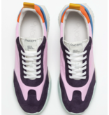 Brooklyn Orchid Multi