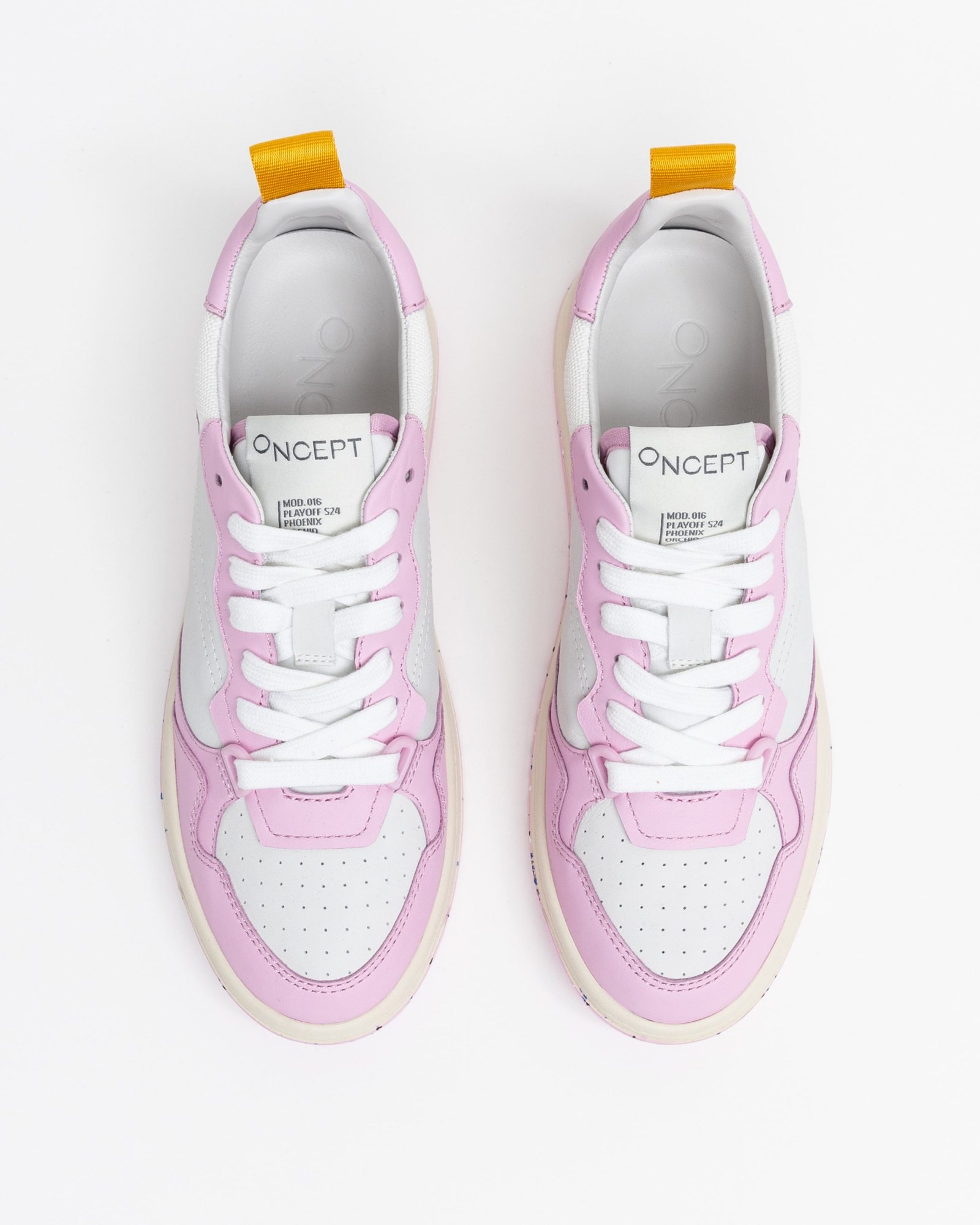 PHOENIX - ORCHID