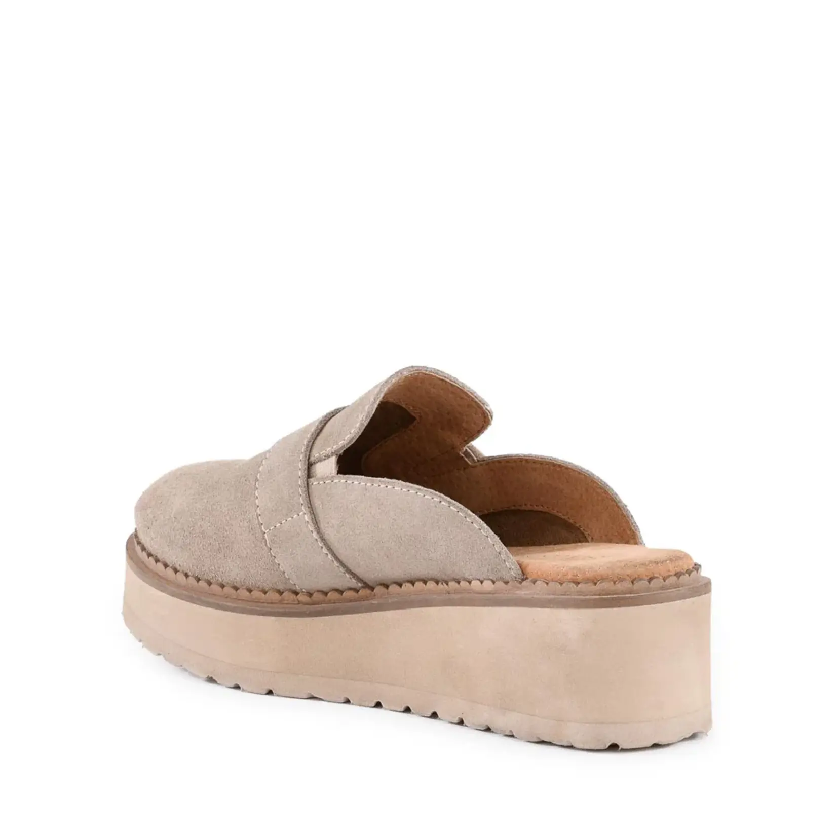 Seychelles Come Together Platform Flats