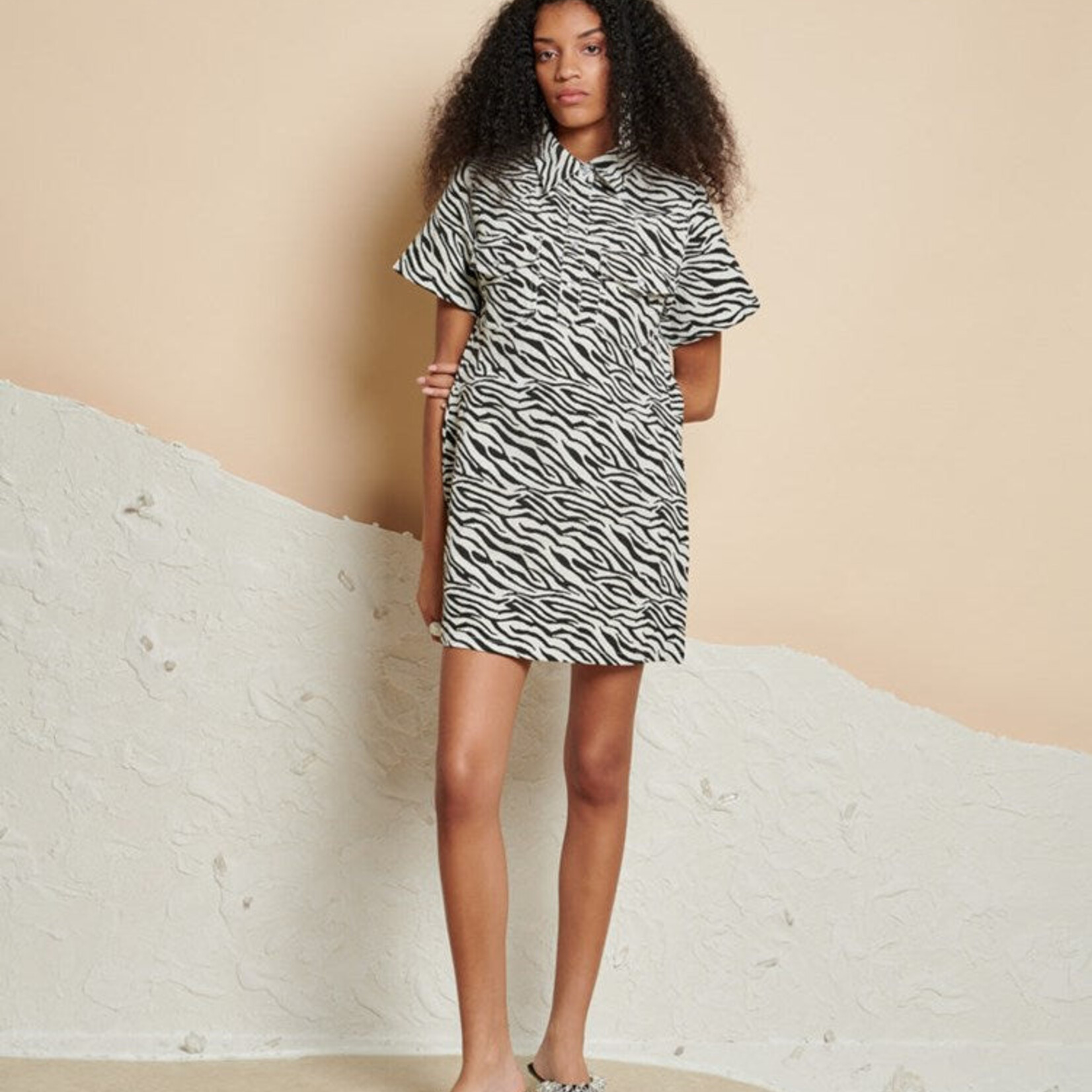 Sister Jane Zia Zebra Mini Dress