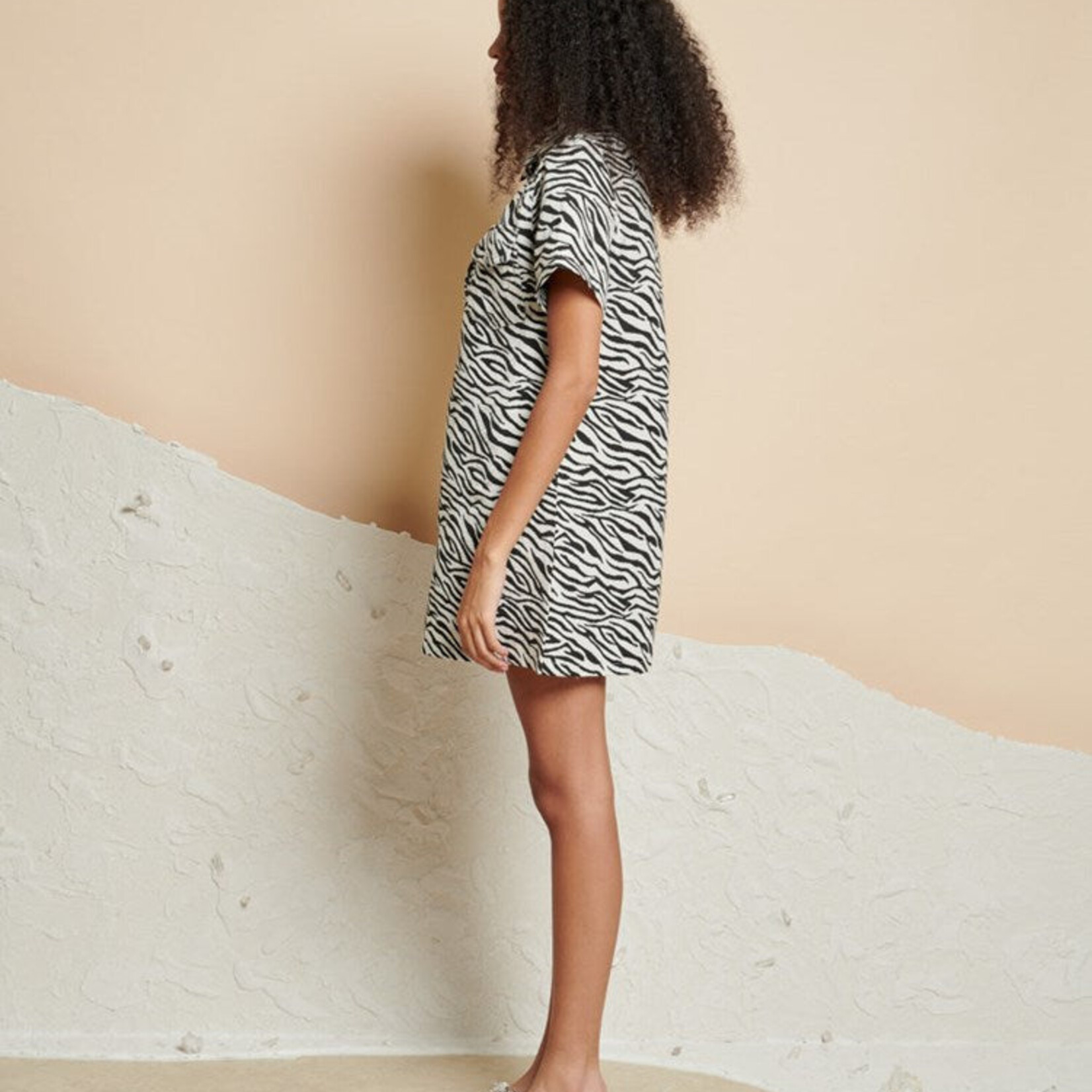 Sister Jane Zia Zebra Mini Dress