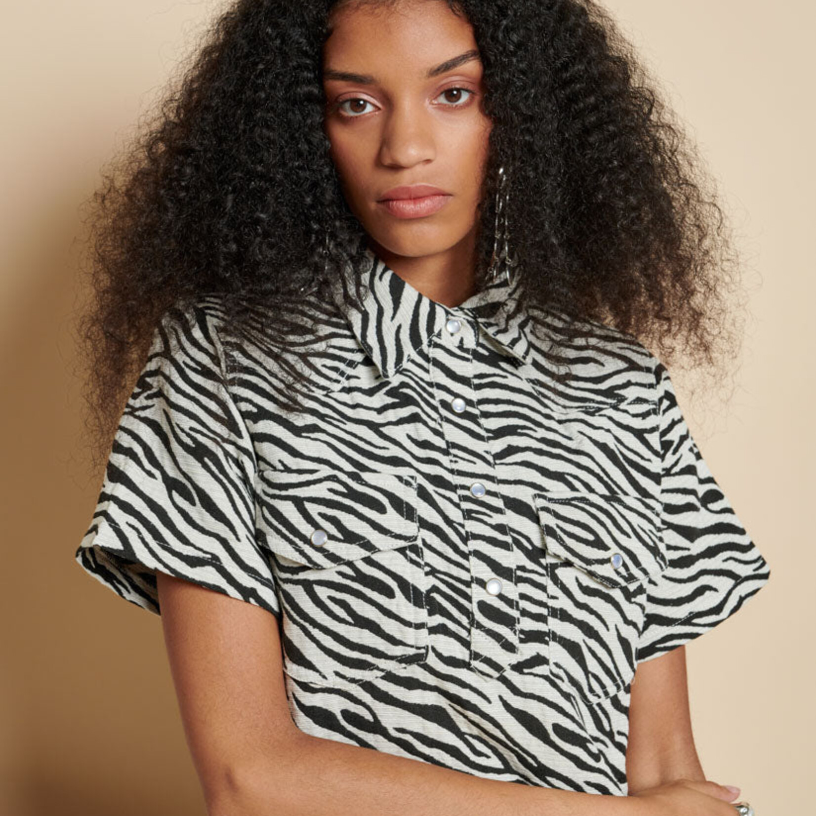Sister Jane Zia Zebra Mini Dress