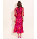 Alden Adair Ivey Dress