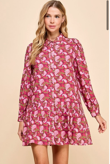 Cordy Dropped Waist Shirt Dress