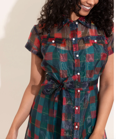 Alden Adair Rachel Dress in Holiday Plaid