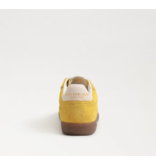 Sam Edelman Kallen Sneaker