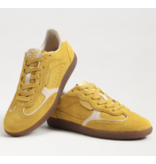 Sam Edelman Kallen Sneaker