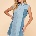 TCEC Two Toned Denim Sleeveless Dress
