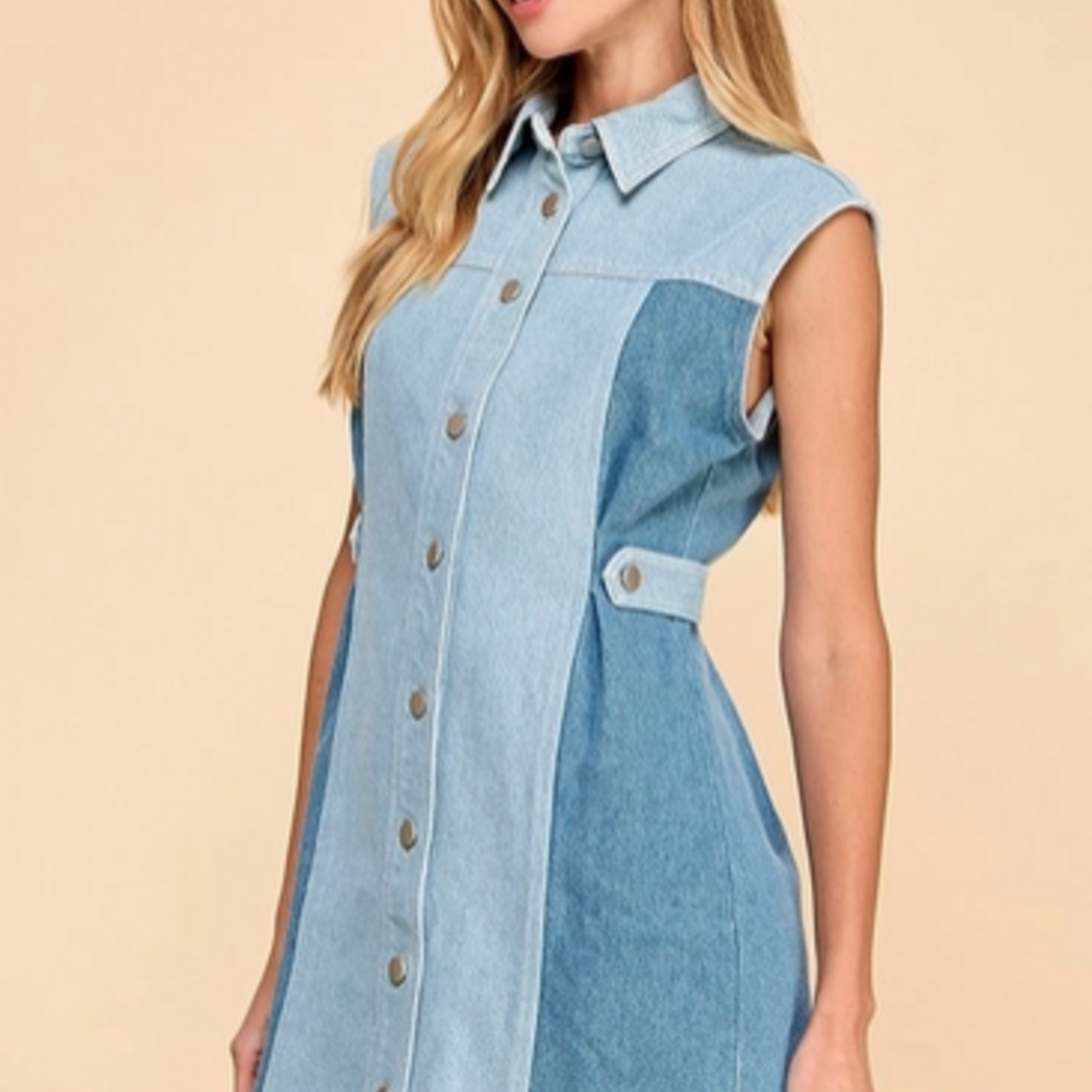 TCEC Two Toned Denim Sleeveless Dress