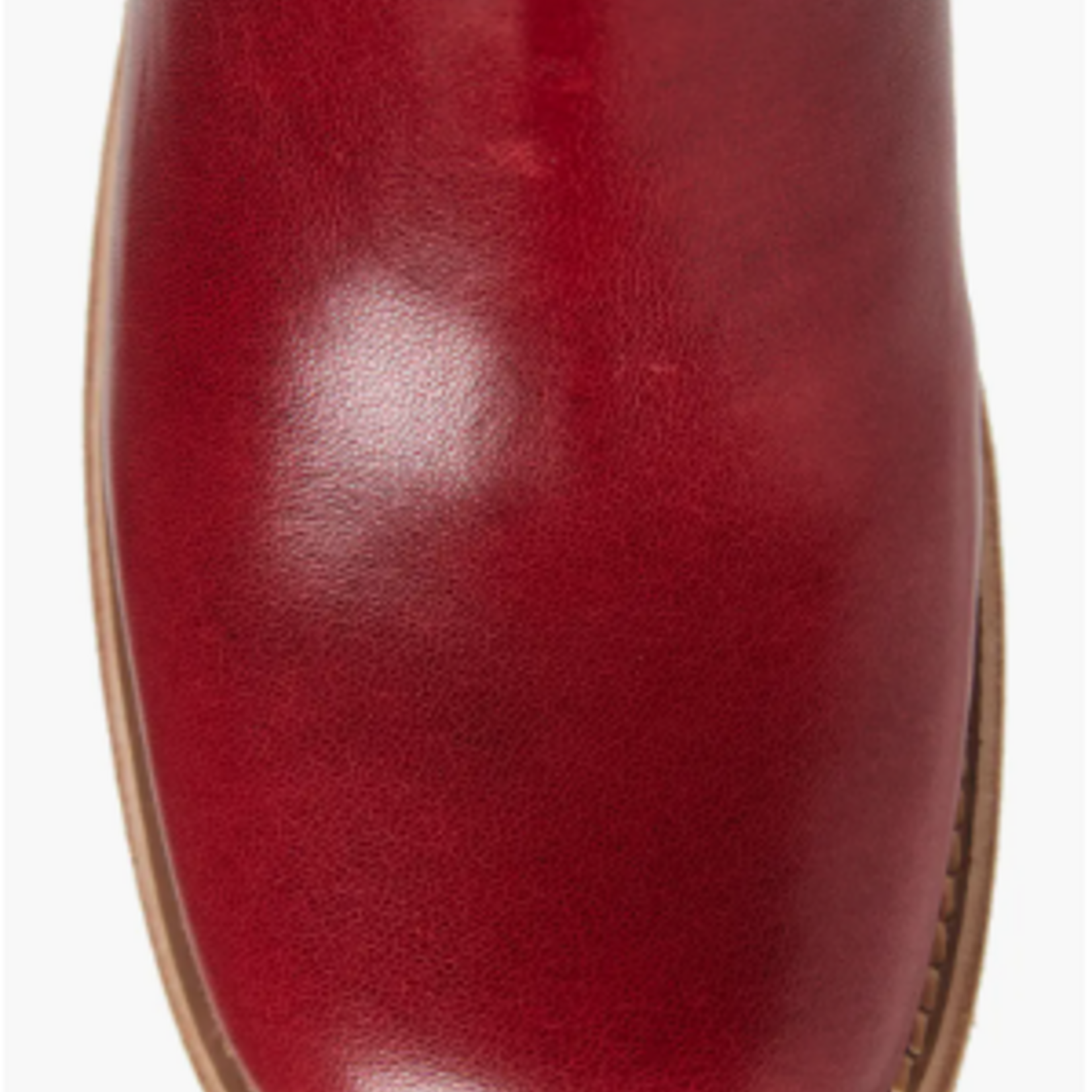 Jeffrey Campbell REFLECT-TN Boot