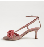 Sam Edelman Phoebe Ankle Strap Sandal