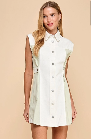 Sage Two Toned Denim Dress