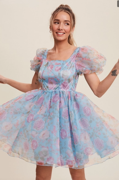 Blue Floral Organza Mini Dress