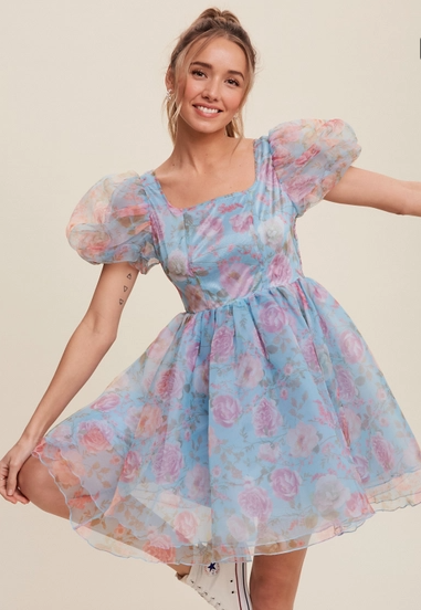 Blue Floral Organza Mini Dress