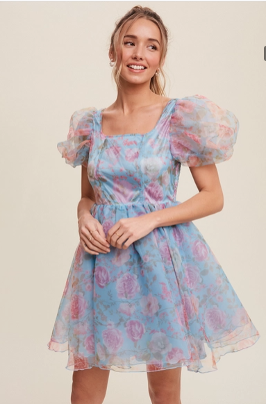 Blue Floral Organza Mini Dress