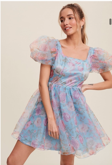 Blue Floral Organza Mini Dress