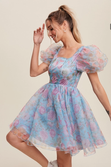 Blue Floral Organza Mini Dress