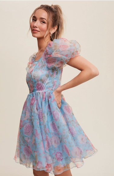 Blue Floral Organza Mini Dress