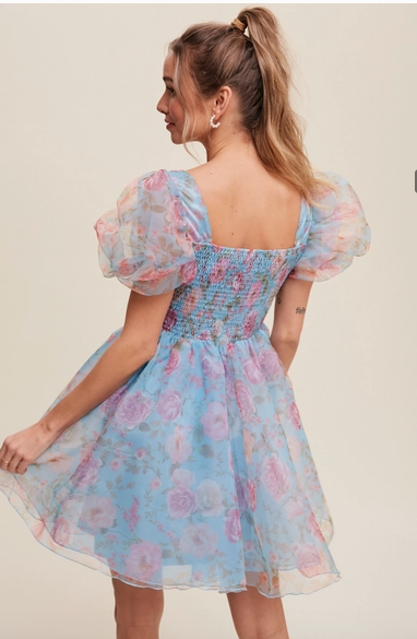 Blue Floral Organza Mini Dress