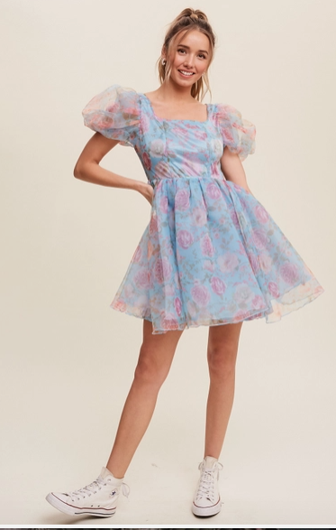 Blue Floral Organza Mini Dress