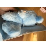Light Blue Monster