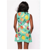 Queen of Sparkles Green Gingham Fruit Button Up Tank Dress