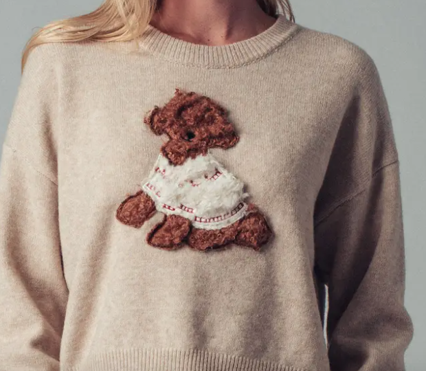 Whimsical Puppy Applique Knit Sweater