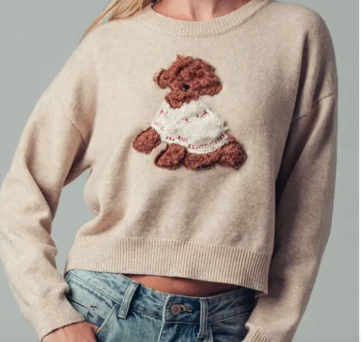 Whimsical Puppy Applique Knit Sweater