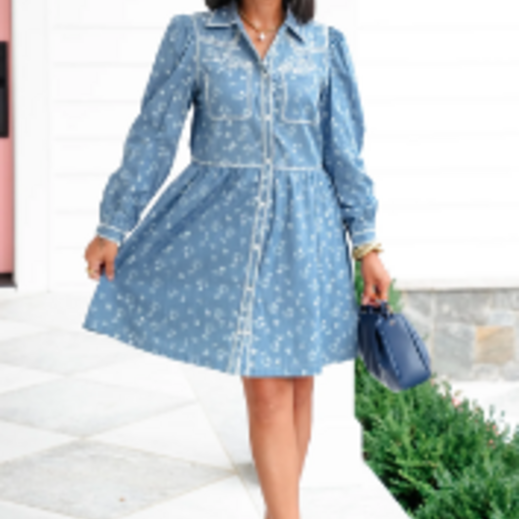 Ditsy Flower Embroidered Button Down Denim Dress