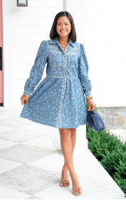 Ditsy Flower Embroidered Button Down Denim Dress