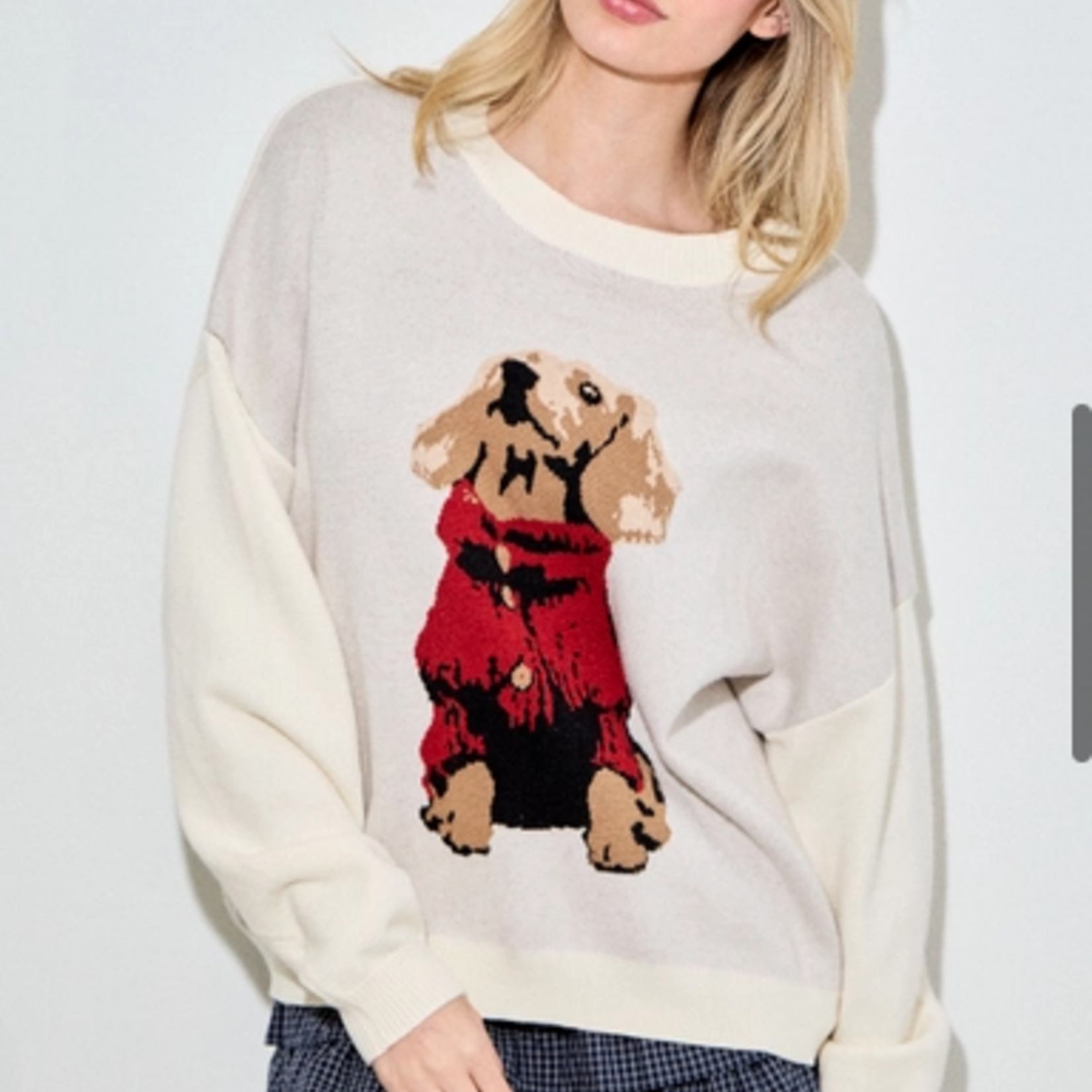 Cream Dachshund Sweater