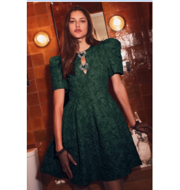 Jacquard Puff Sleeve Mini Dress