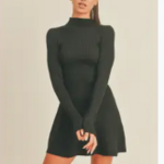 Mock Neck Fit and Flare Mini Dress