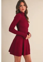 Mock Neck Fit and Flare Mini Dress