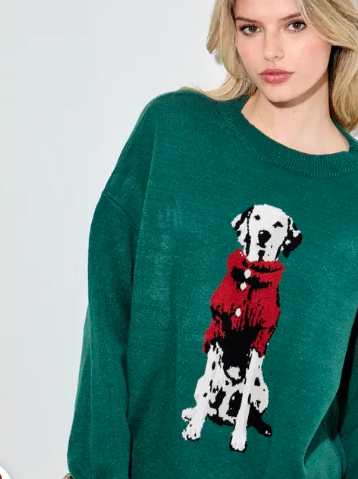 Dalmation Green Sweater
