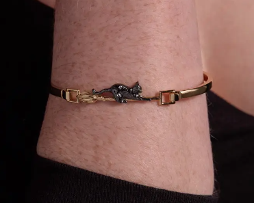 Alex and Ani Celestial Cat Tension Bangle