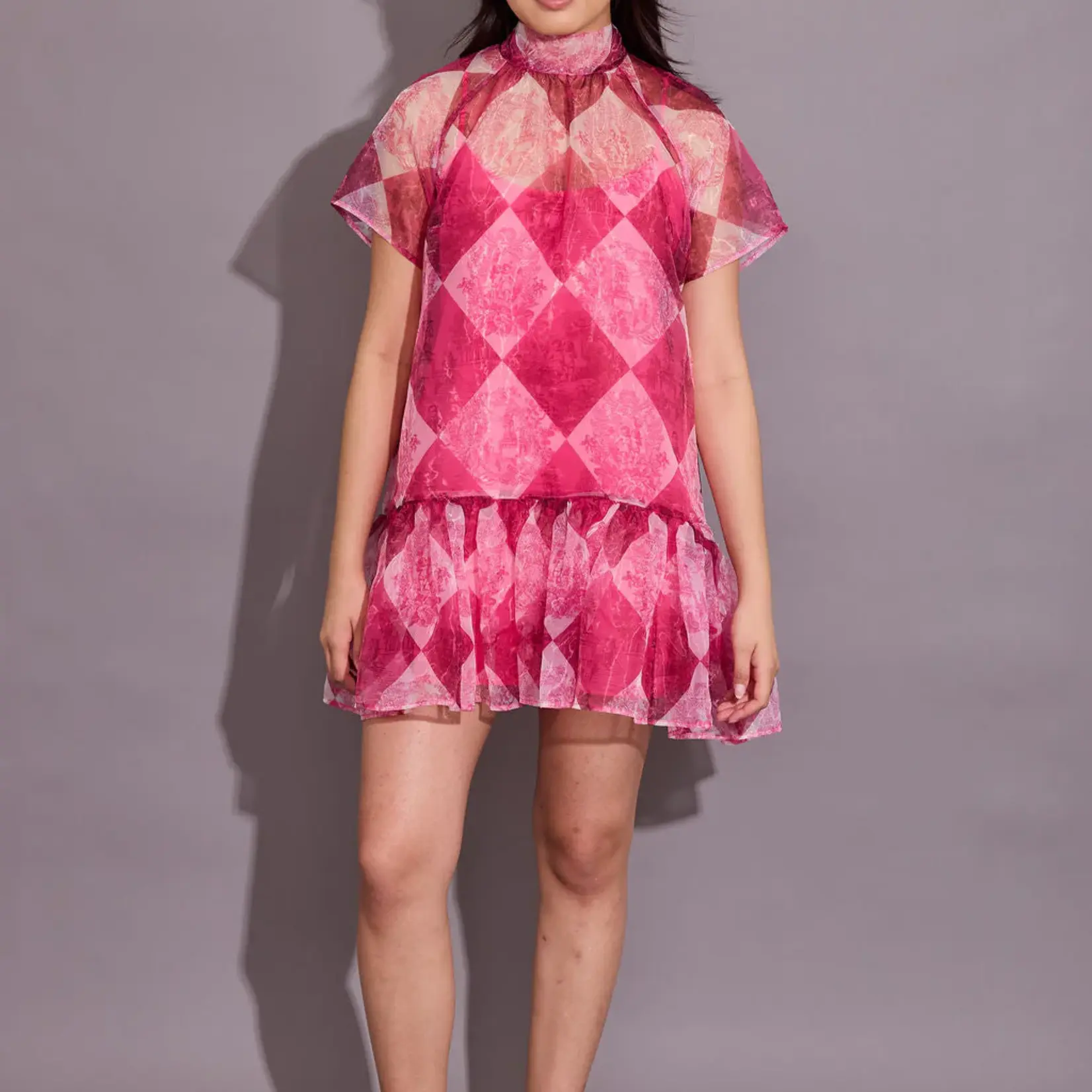 Alden Adair Willa Dress TOILE