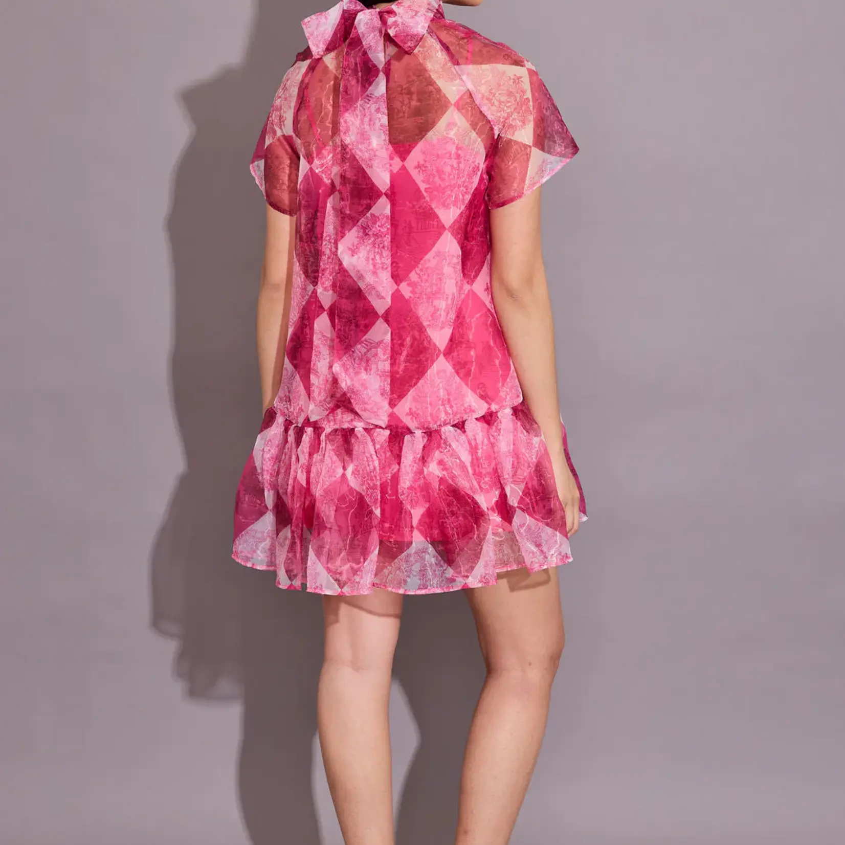 Alden Adair Willa Dress TOILE