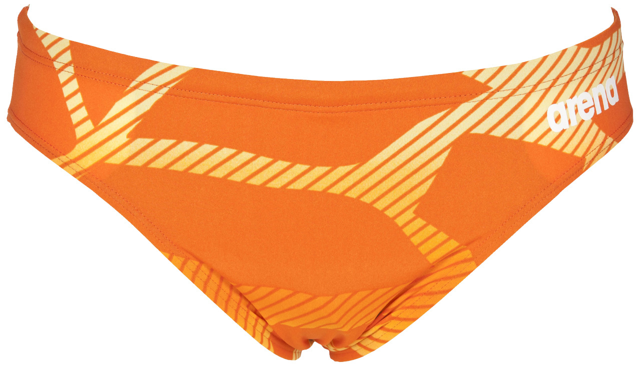 arena spider brief