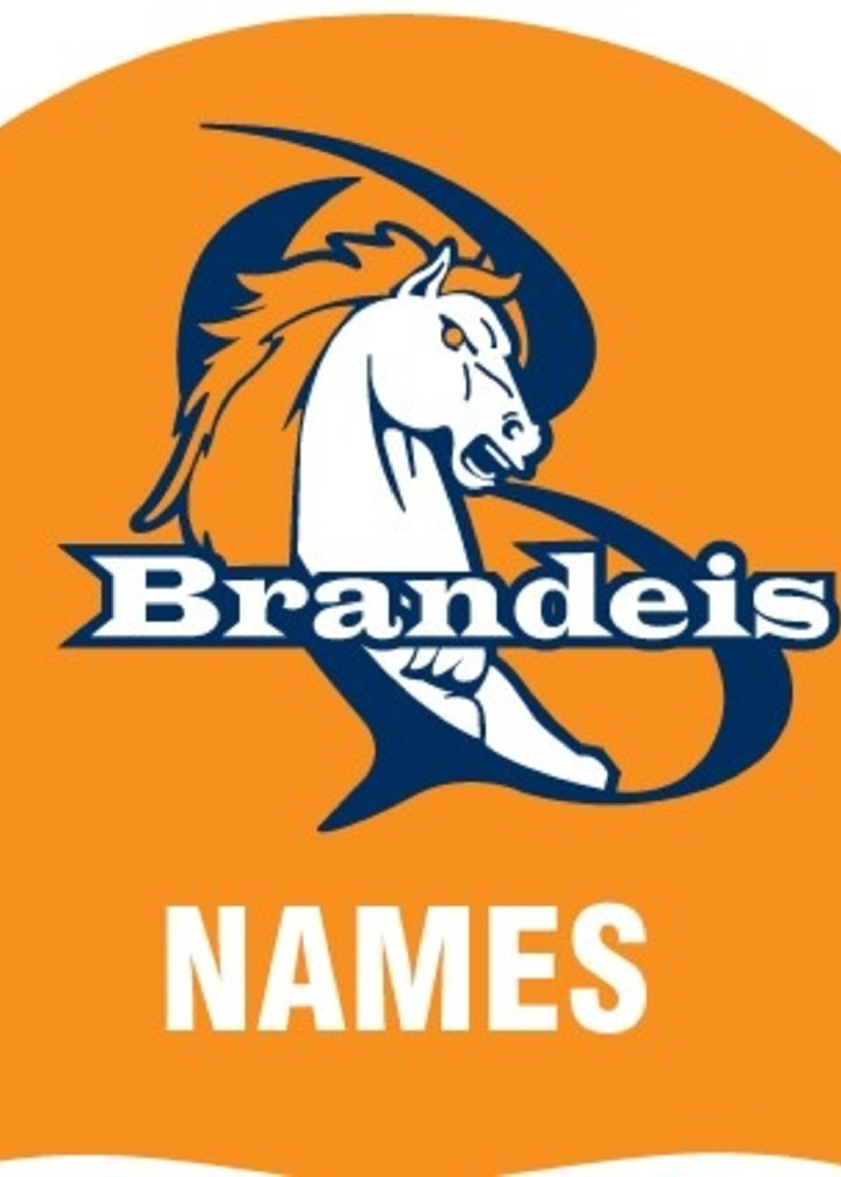 Brandeis Name Cap-Pack of 2
