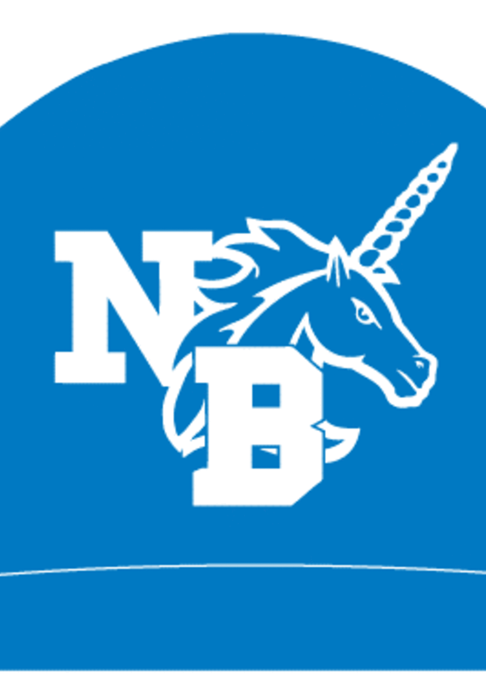 NBHS Name Caps-Pack of 2