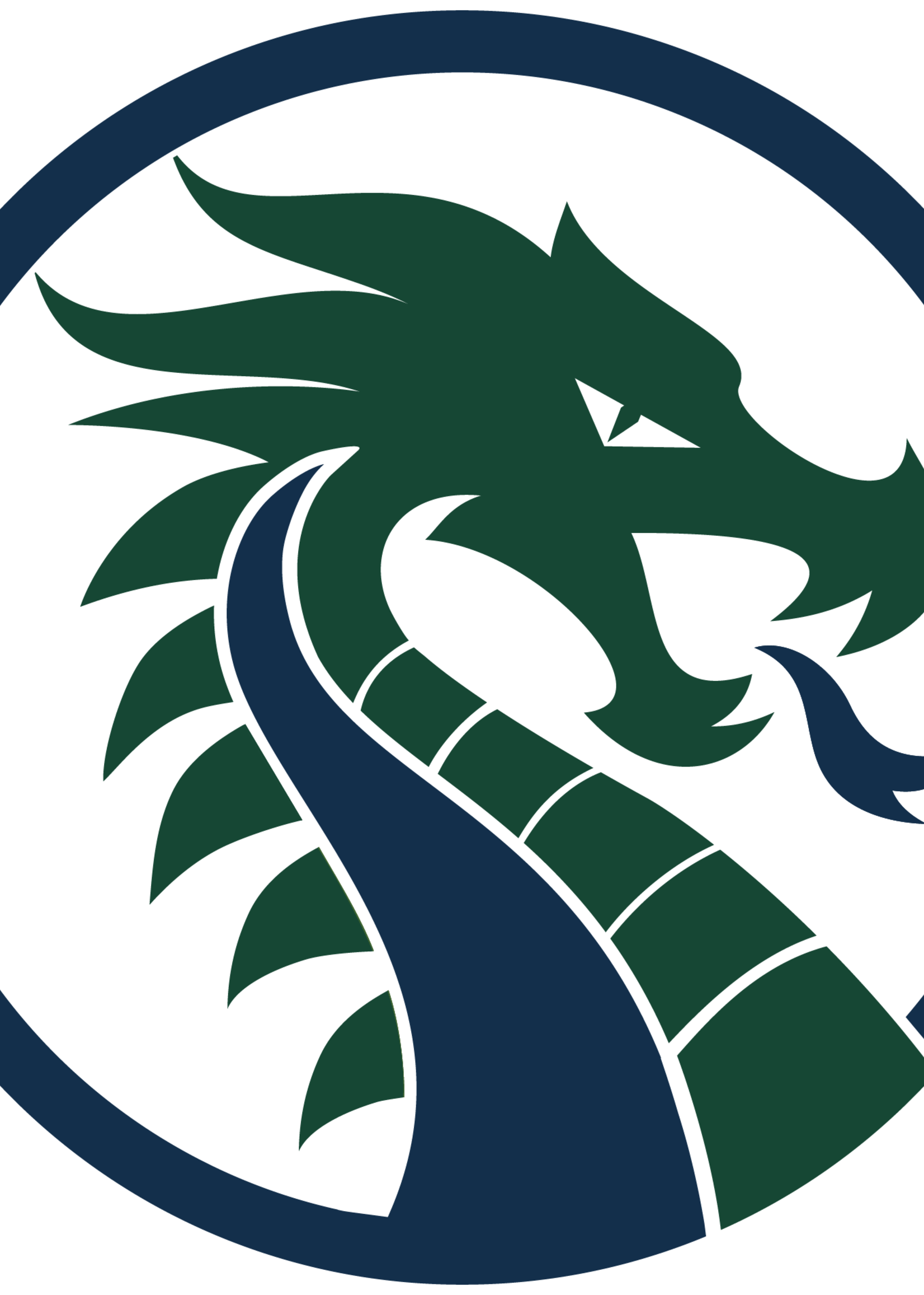 Long Creek HS NAME Caps--pack of 2