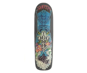 Shota Kubo Roots Pool 8.75