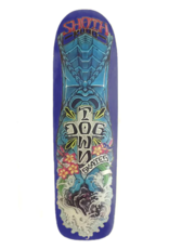 Dogtown Shota Kubo Roots Pool 8.86" Assorted Stains