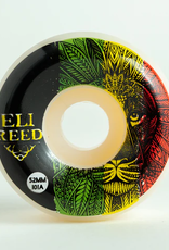 Satori Eli Reed Lion Stripe Conical 101a 52mm