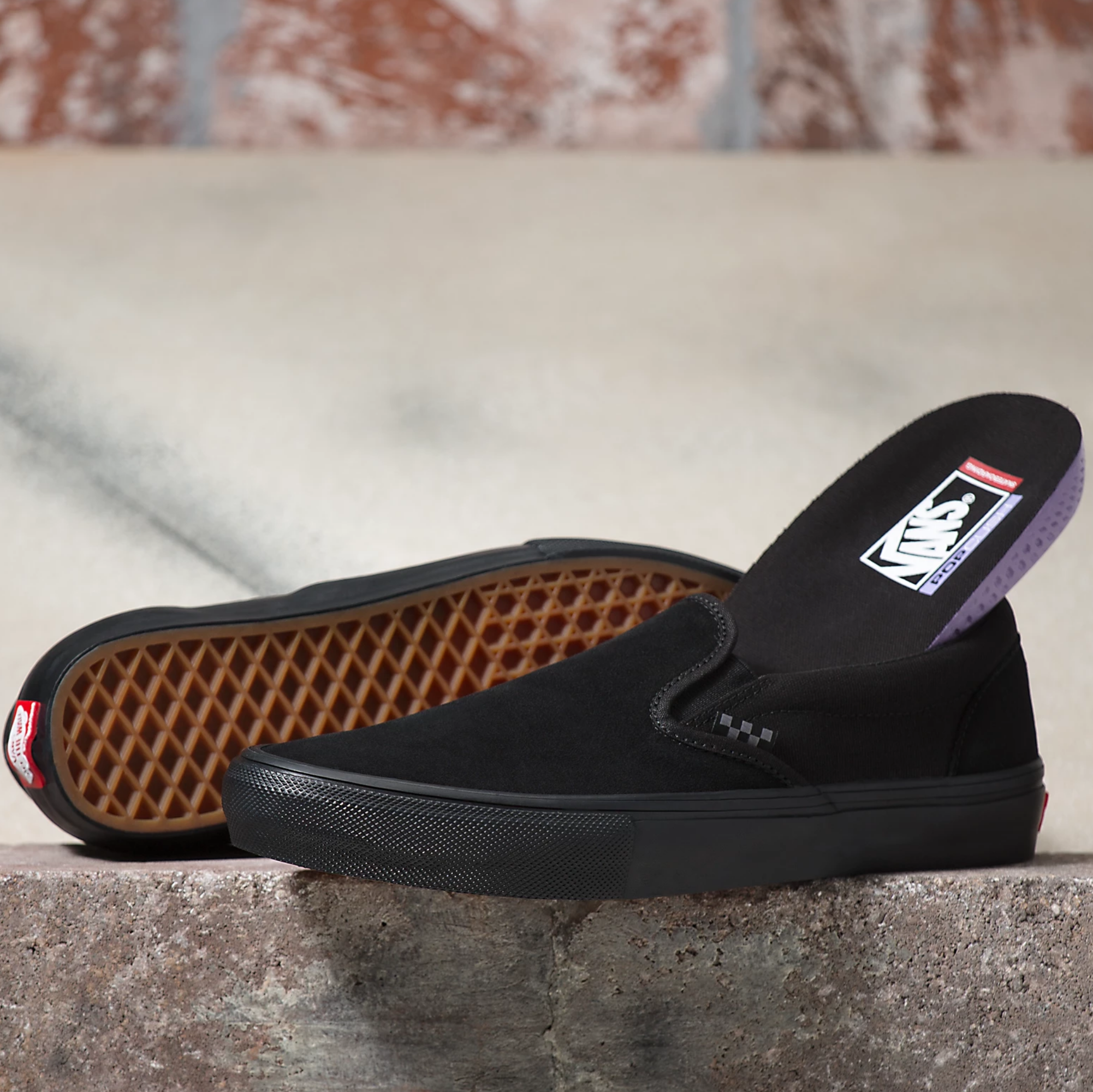Vans Shoes Skate Slip On Black/Black