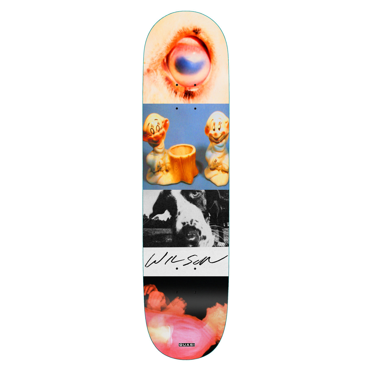 Quasi Skateboards Wilson Smear 8.375"