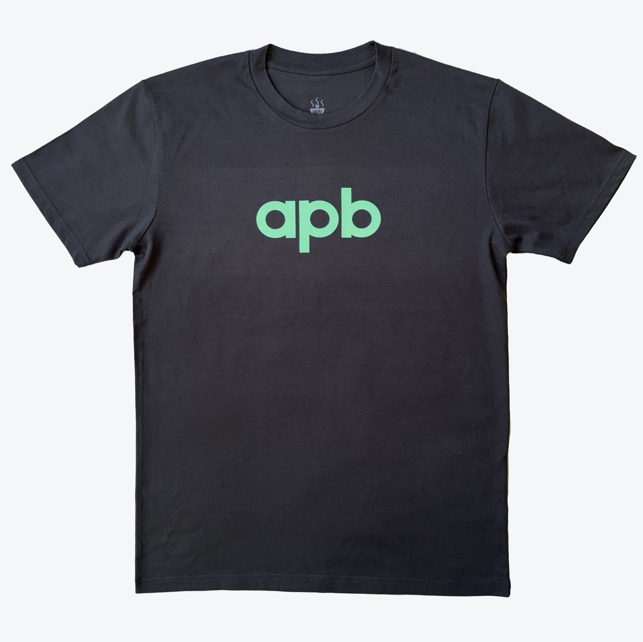 APB Skateshop APB Logo Tee Coal/Mint